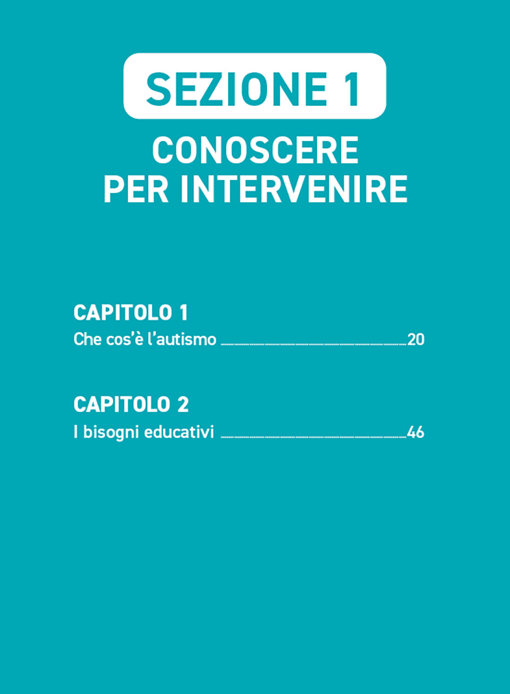 Autismo come e cosa fare - Nuova Edizione::Metodologie, strategie e materiali operativi per ciascuna delle aree del PEI