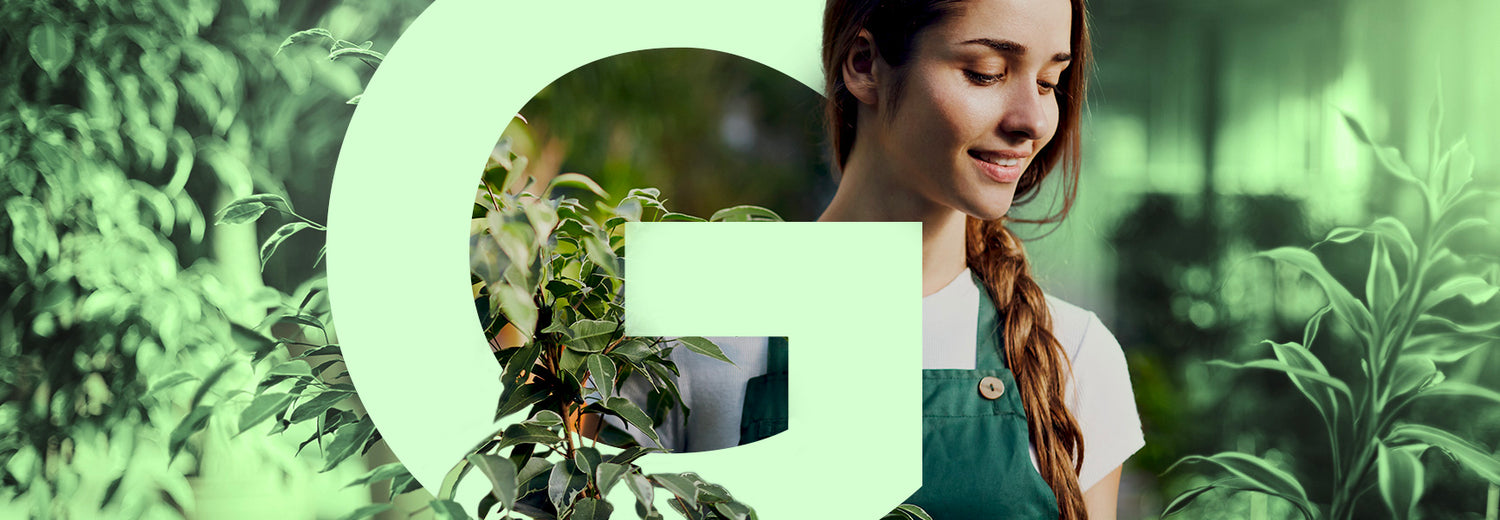 gid://shopify/MediaImage/41610974495062