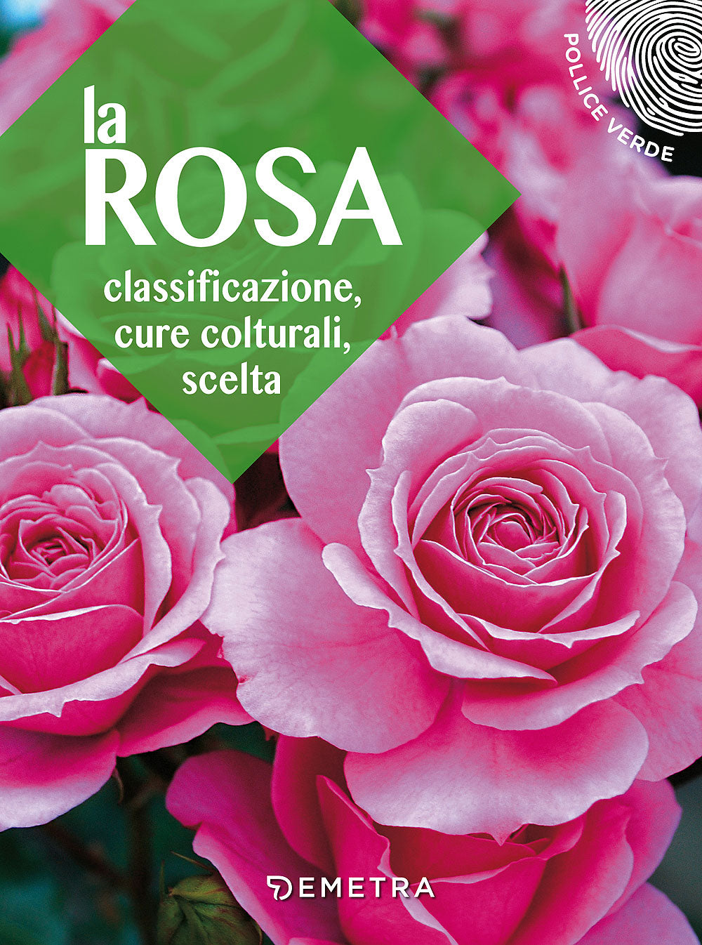La rosa::Classificazione, cure colturali, scelta