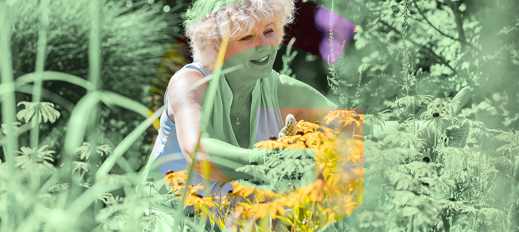 Tutto ciò che serve sapere per creare il tuo giardino::Dalla progettazione alla scelta delle piante e all’utilizzo di elementi decorativi