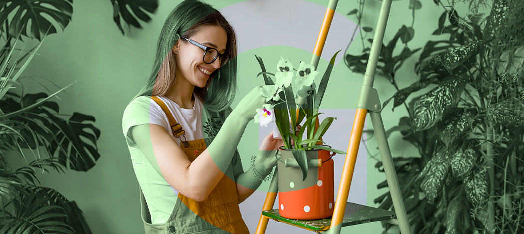 Tutto ciò che serve sapere per curare e far crescere sane le piante da appartamento::Dalla scelta delle piante e degli spazi idonei fino alle corrette pratiche da seguire