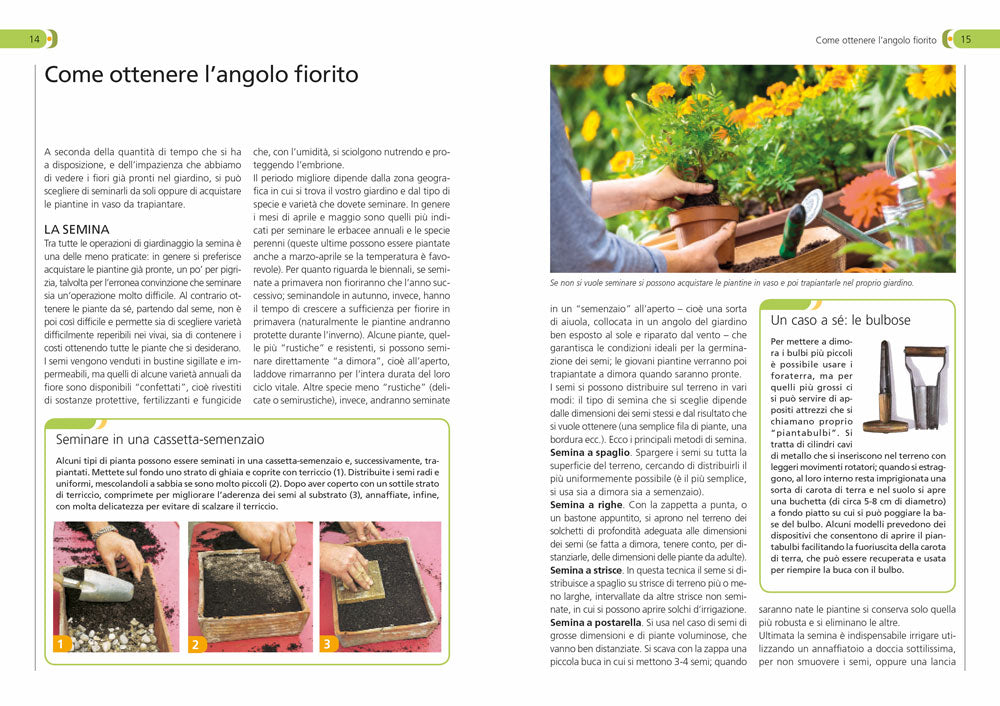 Fiori in giardino::Manuale completo per la coltivazione e la cura