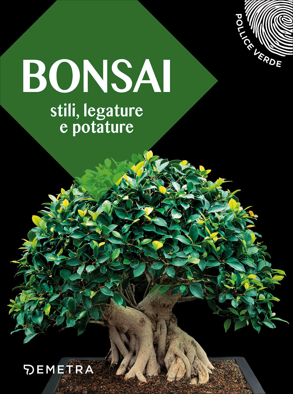 Bonsai::Stili, legature e potature