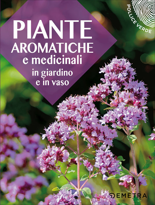 Piante aromatiche e medicinali ::In giardino e in vaso