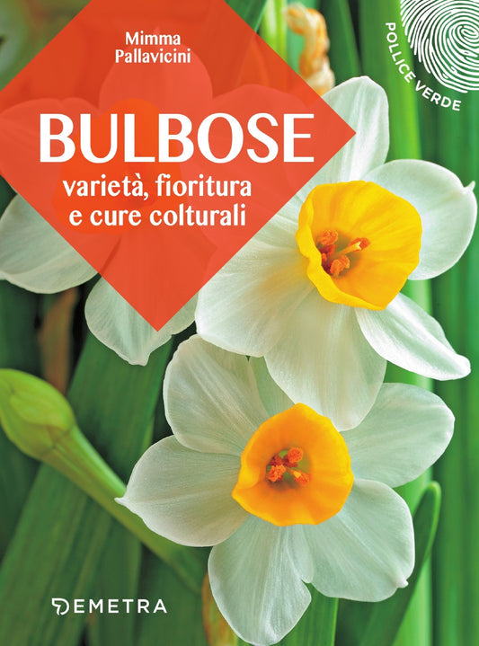 Bulbose::Varietà, fioritura e cure colturali