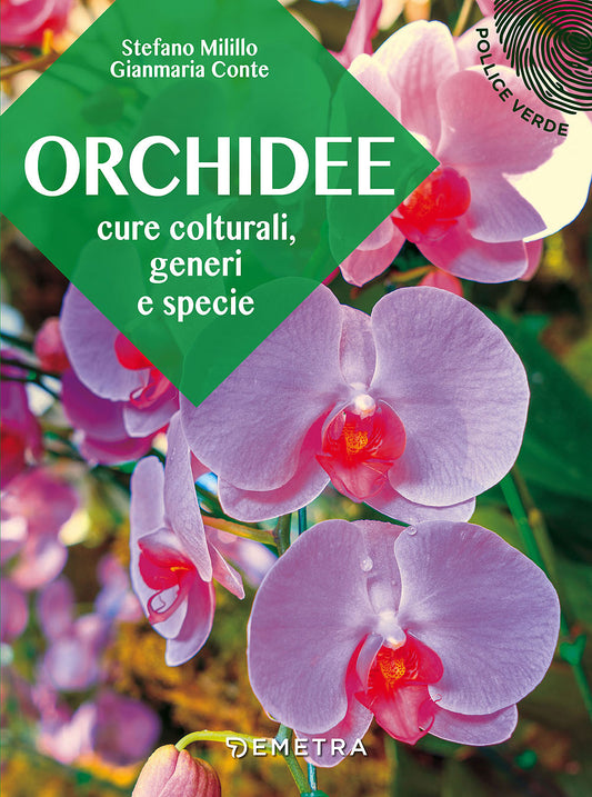 Orchidee::Cure colturali, generi e specie