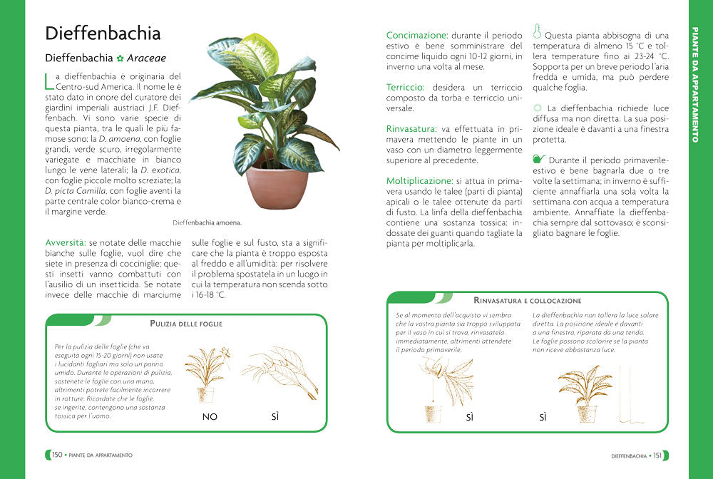 Pollice verde per tutti::Il manuale completo del giardinaggio