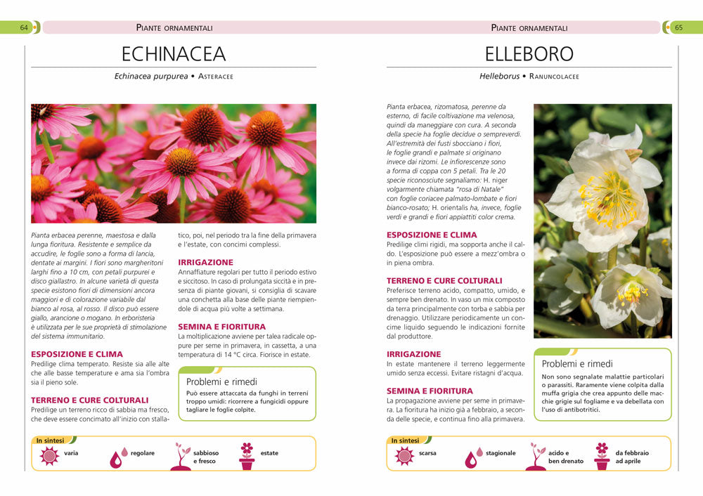Fiori in giardino::Manuale completo per la coltivazione e la cura